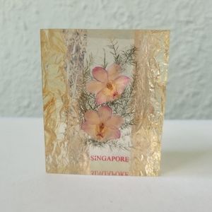 Vintage Paperweight Acrylic Lucite Dried Flowers Singapore MCM 3x2.5 In